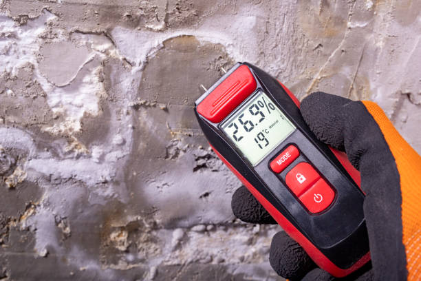 Mold Testing and Removal in Midlothian, IL